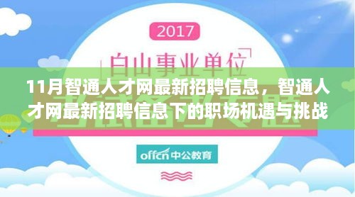 11月智通人才網(wǎng)最新招聘信息，職場機(jī)遇與挑戰(zhàn)一覽