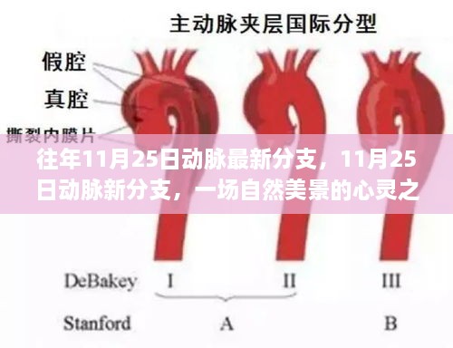 往年11月25日動脈最新分支，11月25日動脈新分支，一場自然美景的心靈之旅