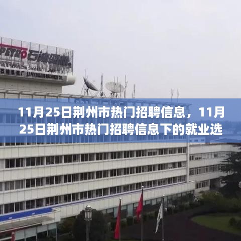 11月25日荊州市熱門招聘信息，11月25日荊州市熱門招聘信息下的就業(yè)選擇，機遇與挑戰(zhàn)并存