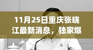 重慶張曉江最新動(dòng)態(tài)揭秘，11月25日獨(dú)家爆料，瞬間驚艷！