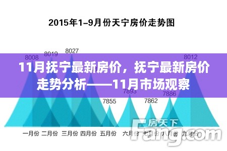 撫寧最新房價動態(tài)及走勢分析，11月市場觀察報告