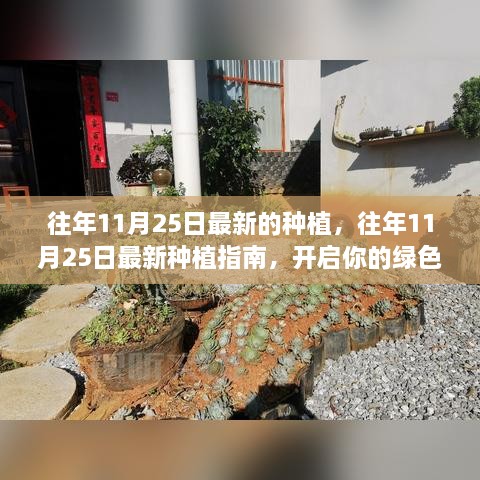 往年11月25日最新的種植，往年11月25日最新種植指南，開啟你的綠色生活之旅