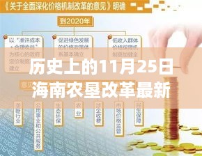 海南農(nóng)墾改革新篇章，歷史上的11月25日，變革中的自信與成就感