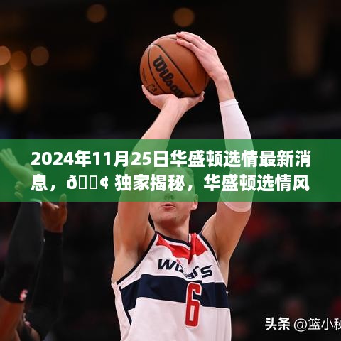 2024年11月25日華盛頓選情最新消息，?? 獨(dú)家揭秘，華盛頓選情風(fēng)云變幻，最新消息一網(wǎng)打盡！?? 2024年11月25日選情深度解析