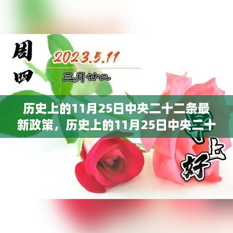 歷史上的11月25日中央二十二條最新政策，歷史上的11月25日中央二十二條最新政策深度解讀