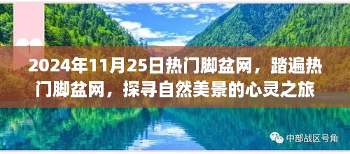 探尋自然美景的心靈之旅，熱門腳盆網(wǎng)之旅（2024年11月25日）