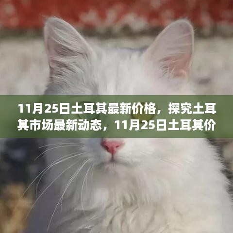 11月25日土耳其最新價(jià)格，探究土耳其市場最新動(dòng)態(tài)，11月25日土耳其價(jià)格走勢及其影響