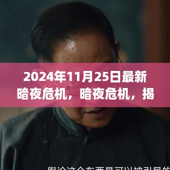 揭秘，2024年11月25日暗夜危機(jī)的背后故事與影響揭秘