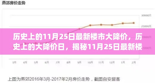 歷史上的11月25日最新樓市大降價，歷史上的大降價日，揭秘11月25日最新樓市降價真相
