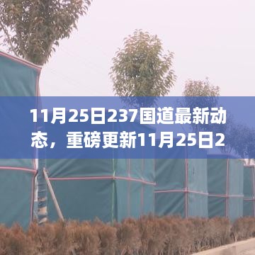 11月25日237國(guó)道最新動(dòng)態(tài)全解析，路況、施工及出行指南