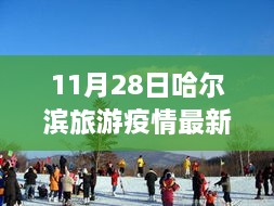 疫情下安全游哈爾濱，最新旅游指南與實用建議（初學者與進階用戶適用）