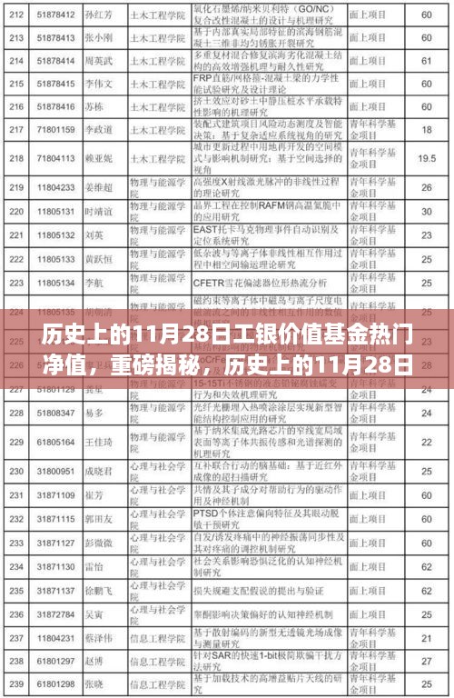 揭秘，歷史上的工銀價值基金凈值飆升背后的故事——聚焦11月28日熱門凈值日解密