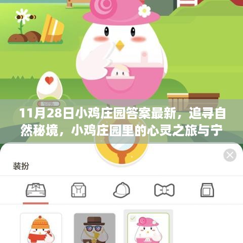 11月28日小雞莊園答案最新，追尋自然秘境，小雞莊園里的心靈之旅與寧靜的擁抱