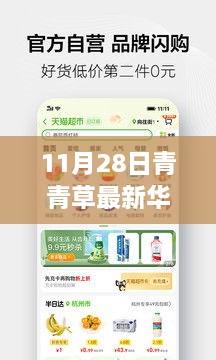 涉黃警告，11月28日青青草最新華人免費資源獲取指南及全攻略