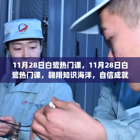 11月28日白鷺熱門課程，翱翔知識海洋，塑造自信未來夢想