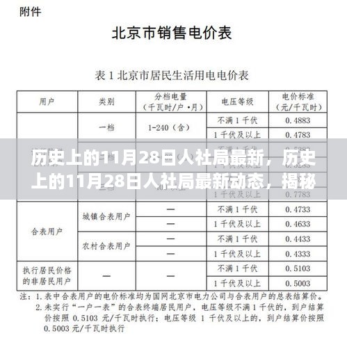 揭秘歷史上的11月28日人社局最新動態(tài)，改變未來的重要時刻回顧