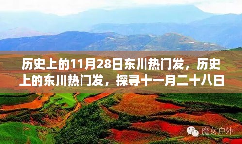 歷史上的11月28日東川熱門發(fā)，歷史上的東川熱門發(fā)，探尋十一月二十八日的輝煌印記