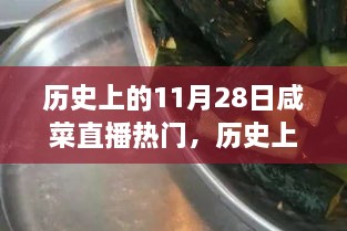 歷史上的11月28日咸菜直播熱門，歷史上的11月28日，見(jiàn)證咸菜直播熱門高科技產(chǎn)品的誕生與革新