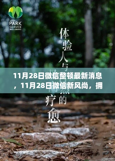 微信整頓新動態(tài)，啟程心靈之旅，擁抱自然新風(fēng)尚