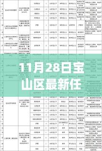 11月28日寶山區(qū)干部任免更新，流程詳解與操作指南