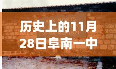 阜南一中歷史時刻下的勵志篇章，最新事件回顧與校園之光