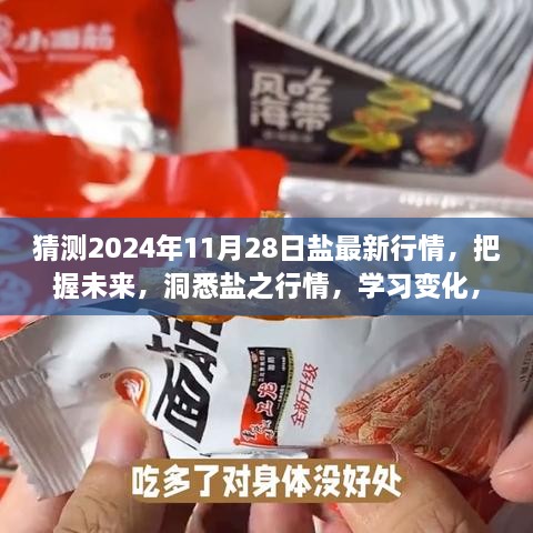 預(yù)測未來鹽行情，洞悉鹽之變化，把握機遇成就夢想