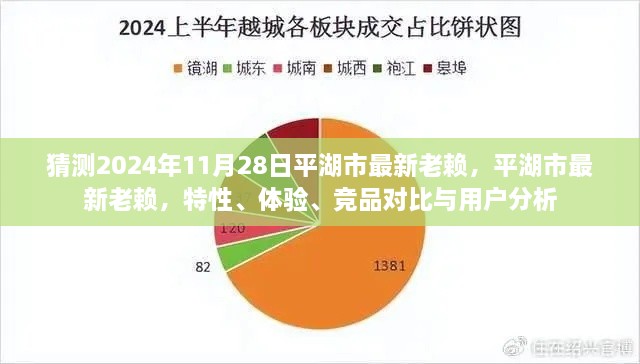 平湖市最新失信人員解析，特性、體驗(yàn)、競(jìng)品對(duì)比與用戶洞察（預(yù)測(cè)至2024年11月）