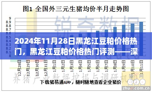 黑龍江豆粕價(jià)格熱門解析，深度剖析豆粕特性、用戶體驗(yàn)與目標(biāo)用戶群體分析報(bào)告