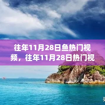 往年11月28日熱門視頻中的魚躍現(xiàn)象，深度解析與觀點(diǎn)闡述