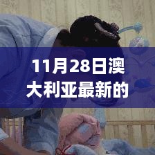 11月28日澳大利亞最新的政策，澳大利亞新政策啟航日，變化中的學習，自信與成就感的源泉