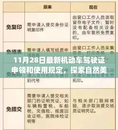 探索自然美景的心靈之旅，最新機動車駕駛證申領(lǐng)和使用規(guī)定解讀