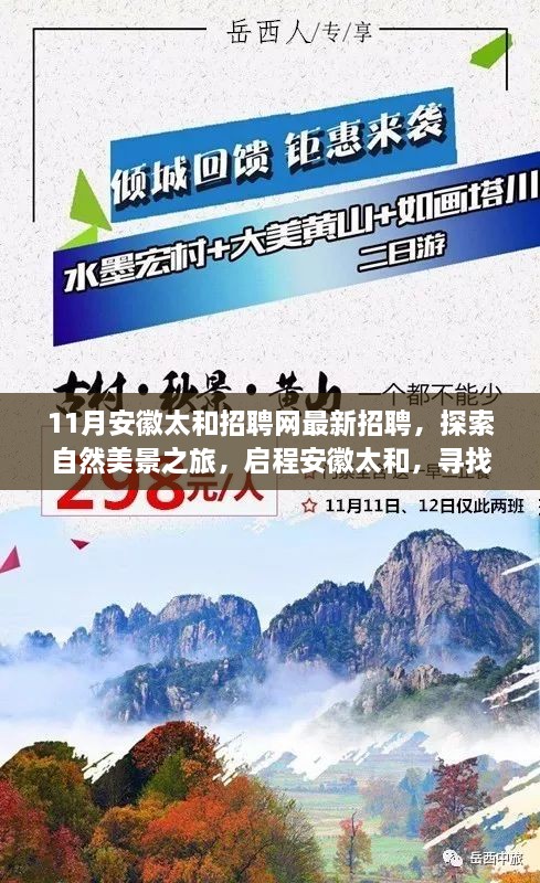 安徽太和最新招聘啟幕，探索自然美景之旅，啟程尋找內(nèi)心寧?kù)o與和諧