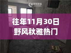 往年11月30日野風(fēng)秋雅熱門房價，野風(fēng)秋雅深處的寶藏，揭秘隱藏在小巷中的特色小店與往年熱門房價盛景