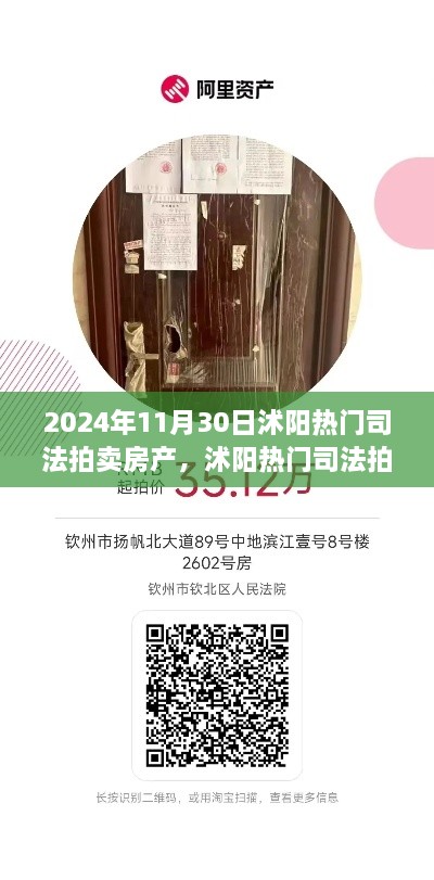 2024年11月30日沭陽熱門司法拍賣房產(chǎn)搶拍指南，最新房源大揭秘