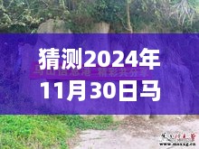 揭秘未來(lái)，馬山縣石豐村2024年11月30日最新動(dòng)態(tài)展望指南