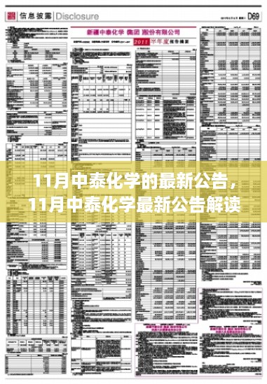 11月中泰化學最新公告詳解與執(zhí)行指南，初學者與進階用戶必讀