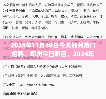 鄭州今日矚目，回顧2024年11月30日熱門(mén)招聘盛況