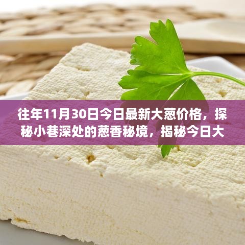 探秘小巷深處的蔥香秘境，揭秘往年今日最新大蔥價(jià)格背后的故事