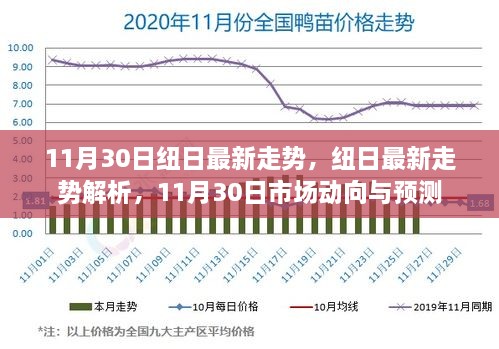 11月30日紐日走勢(shì)深度解析及市場(chǎng)動(dòng)向預(yù)測(cè)