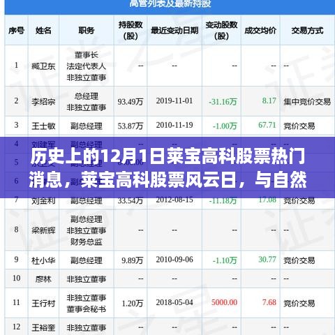 歷史上的12月1日萊寶高科股票熱門消息，萊寶高科股票風(fēng)云日，與自然美景的奇妙邂逅，心靈旅行的啟程時刻