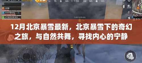 北京暴雪下的奇幻之旅，與自然共舞，探尋內(nèi)心寧?kù)o的旅程