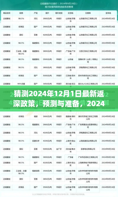 2024年返深政策最新預(yù)測(cè)與準(zhǔn)備指南，步驟詳解及猜測(cè)