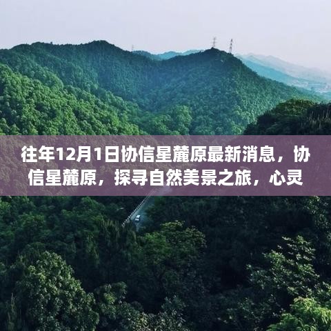 協(xié)信星麓原最新消息，探尋自然美景之旅的心靈港灣