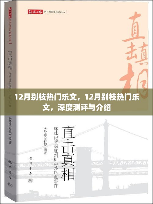 深度測評與介紹，12月別枝熱門樂文