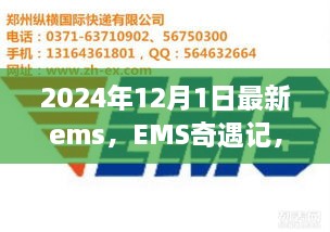 EMS奇遇記，快遞背后的溫暖故事揭秘，2024年12月最新篇章