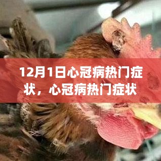 心冠病熱門癥狀深度解析，背景、事件與影響（最新更新）