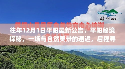 平陽秘境探秘之旅，與自然美景的邂逅，尋找寧靜之地啟程