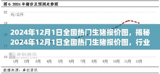 揭秘2024年12月1日全國熱門生豬報價圖，行業(yè)趨勢、市場分析深度解讀