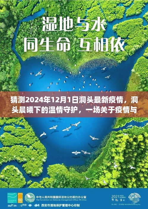 洞頭晨曦下的溫情守護(hù)，疫情與友情的日常故事預(yù)測至2024年12月1日