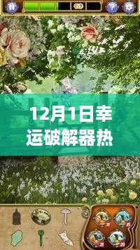 12月1日幸運(yùn)破解器中文版，解鎖自然之美的犯罪風(fēng)險探討